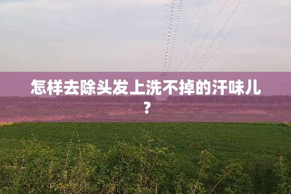 怎样去除头发上洗不掉的汗味儿？
