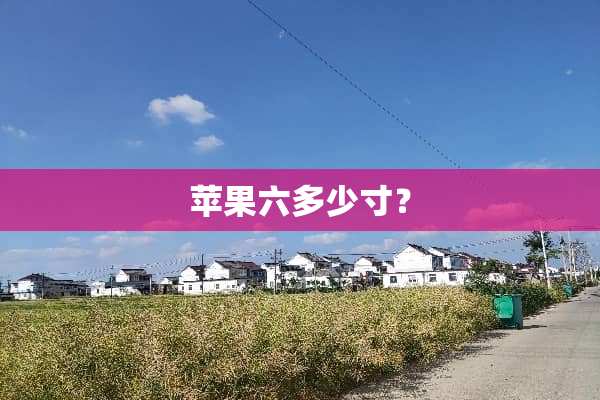 苹果六多少寸？