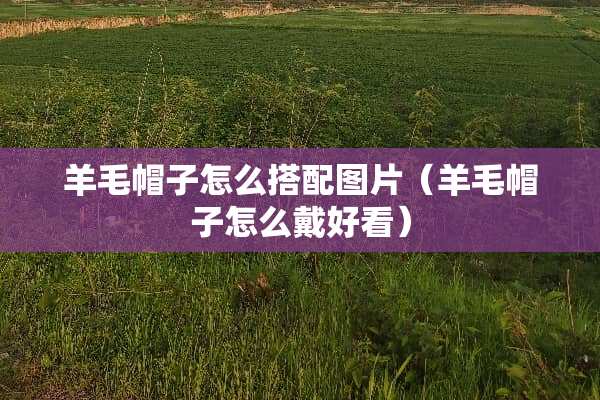 羊毛帽子怎么搭配图片（羊毛帽子怎么戴好看）