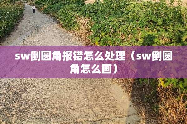 sw倒圆角报错怎么处理（sw倒圆角怎么画）