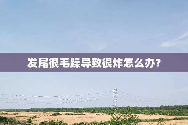 发尾很毛躁导致很炸怎么办？