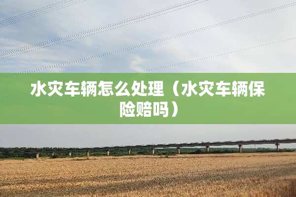 水灾车辆怎么处理（水灾车辆保险赔吗）