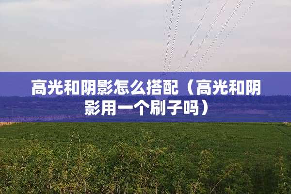 高光和*影怎么搭配（高光和*影用一个刷子吗）