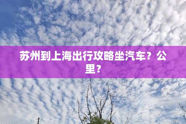 苏州到上海出行攻略坐汽车？公里？