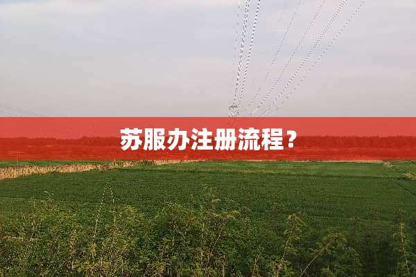 苏服办注册流程？
