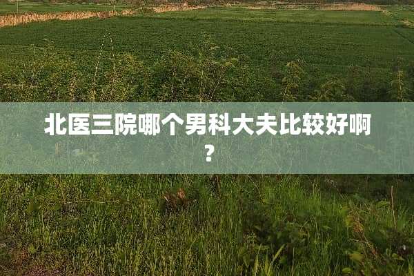 北医三院哪个男科大夫比较好啊？