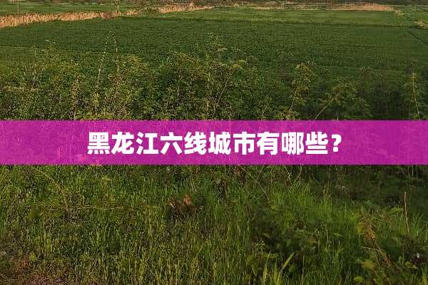 黑龙江六线城市有哪些？