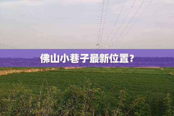 佛山小巷子最新位置？