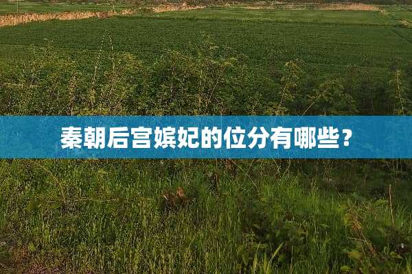 秦朝后宫嫔妃的位分有哪些？