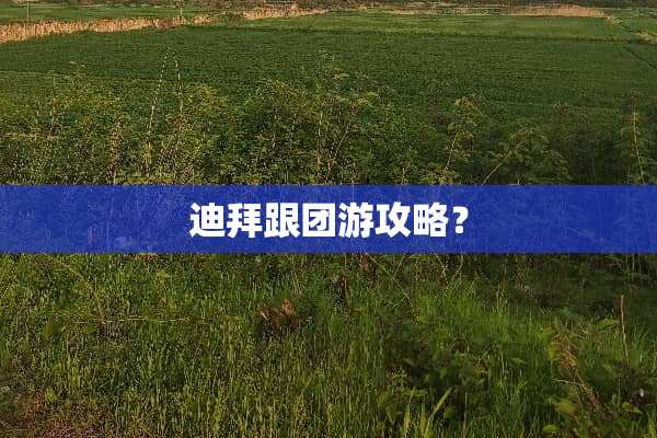 迪拜跟团游攻略？