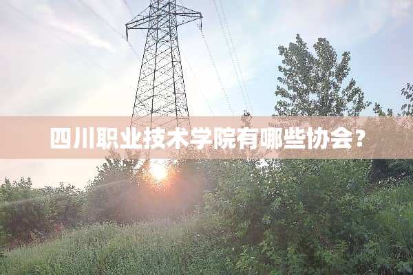 四川职业技术学院有哪些协会？
