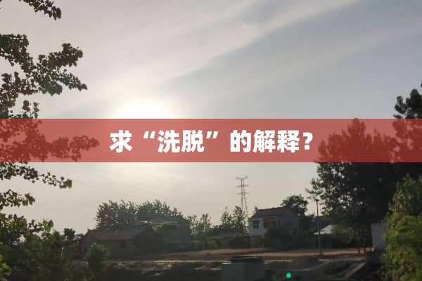求“洗脱”的解释？