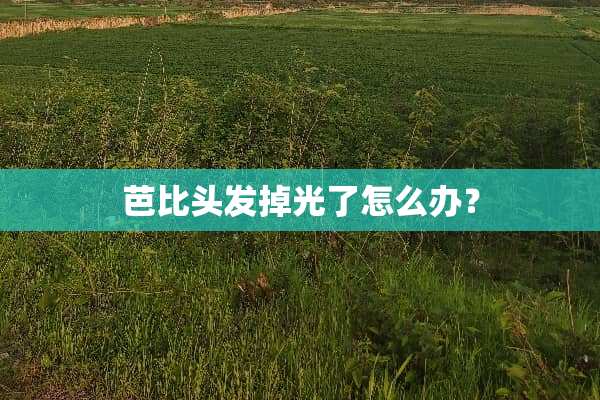 芭比头发掉光了怎么办？