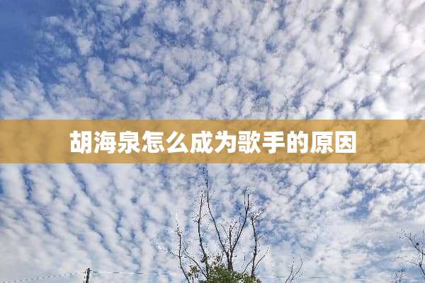 胡海泉怎么成为歌手的原因