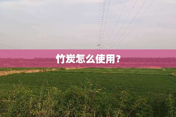 竹炭怎么使用？