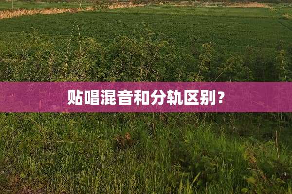 贴唱混音和分轨区别？