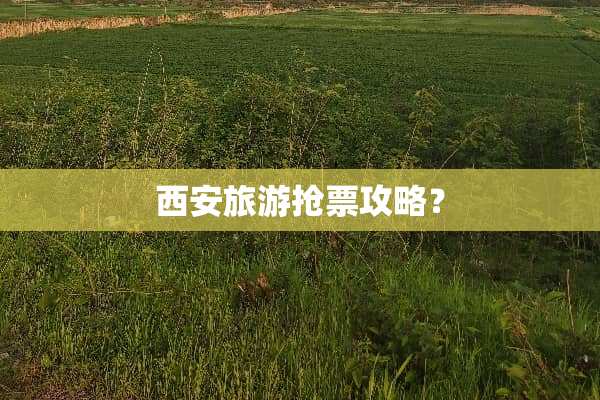 西安旅游抢票攻略？