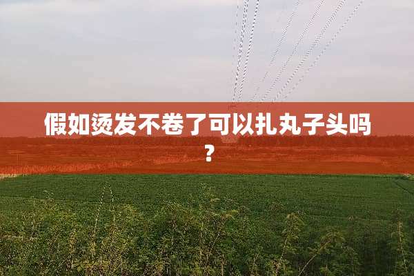 假如烫发不卷了可以扎丸子头吗？