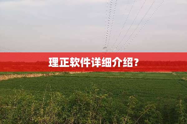 理正软件详细介绍？
