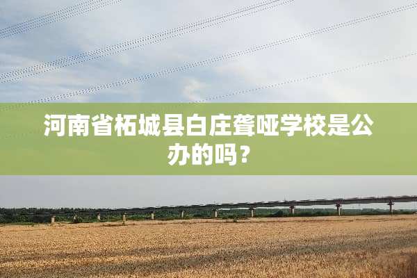 河南省柘城县白庄聋哑学校是公办的吗？