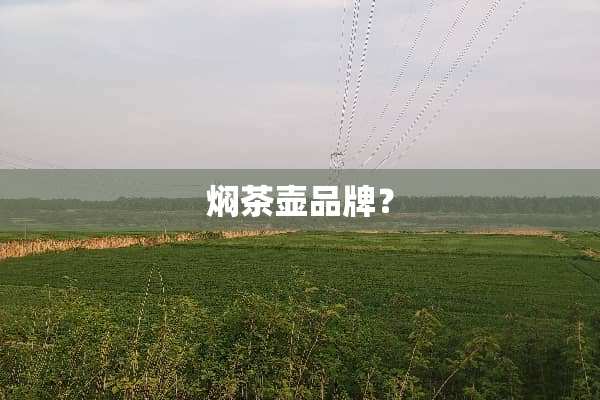 焖茶壶品牌？