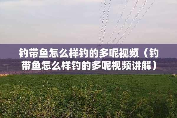 钓带鱼怎么样钓的多呢视频（钓带鱼怎么样钓的多呢视频讲解）