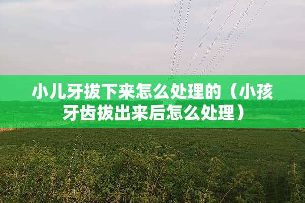 小儿牙拔下来怎么处理的（小孩牙齿***后怎么处理）