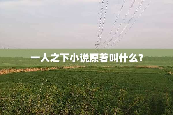 一人之下小说原著叫什么？
