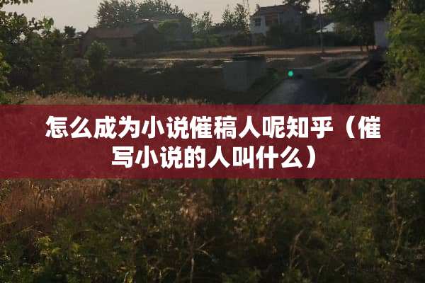 怎么成为小说催稿人呢知乎（催写小说的人叫什么）