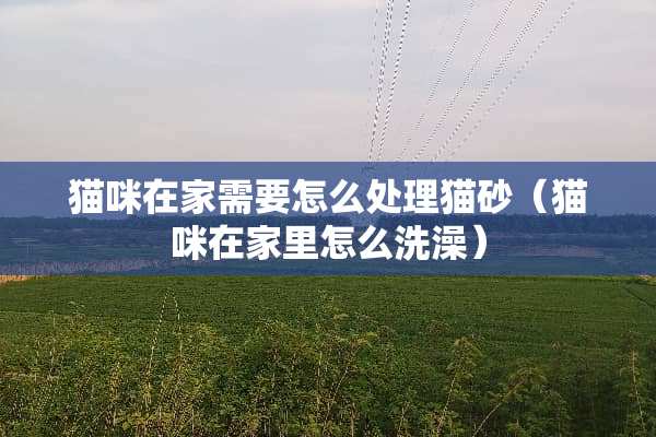 猫咪在家需要怎么处理猫砂（猫咪在家里怎么洗澡）