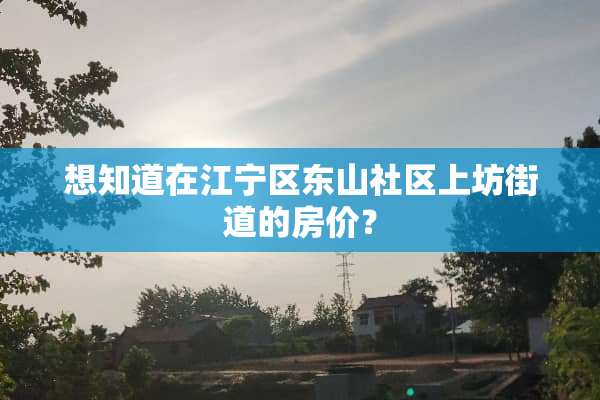 想知道在江宁区东山社区上坊街道的房价？