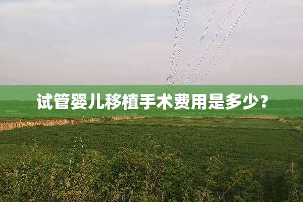 试管婴儿移植手术费用是多少？