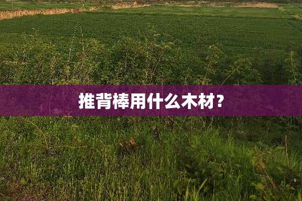 推背棒用什么木材？