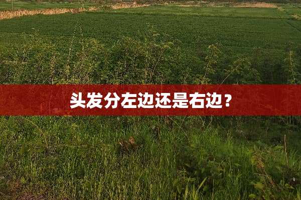 头发分左边还是右边？