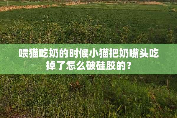 喂猫吃奶的时候小猫把奶嘴头吃掉了怎么破硅胶的？