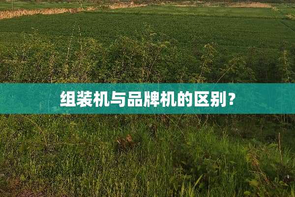 组装机与品牌机的区别？