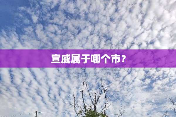 宣威属于哪个市？