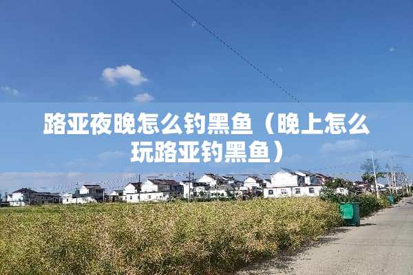 路亚夜晚怎么钓黑鱼（晚上怎么玩路亚钓黑鱼）