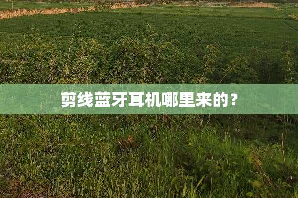 剪线蓝牙耳机哪里来的？