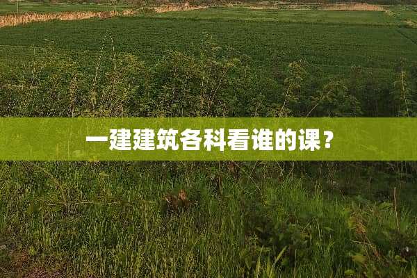 一建建筑各科看谁的课？