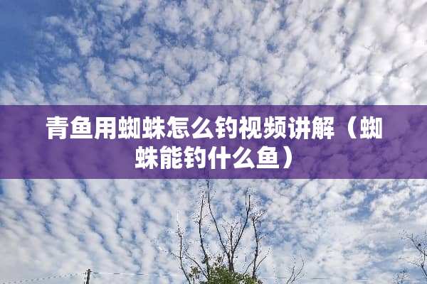 青鱼用蜘蛛怎么钓视频讲解（蜘蛛能钓什么鱼）