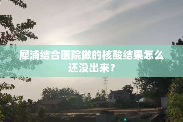 犀浦结合医院做的核酸结果怎么还没出来？