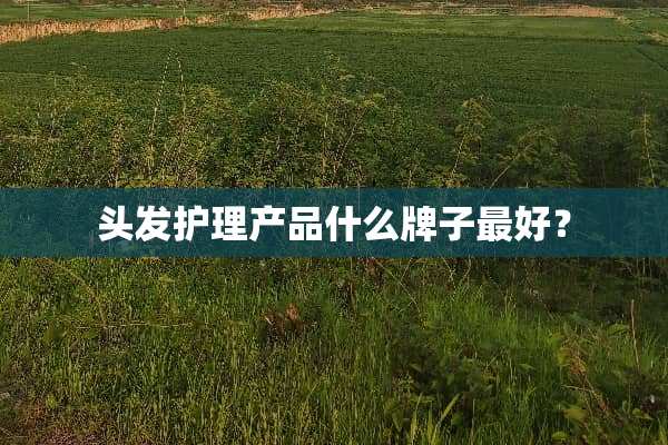 头发护理产品什么牌子最好？