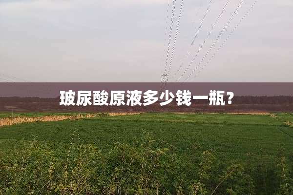 玻尿酸原液多少钱一瓶？