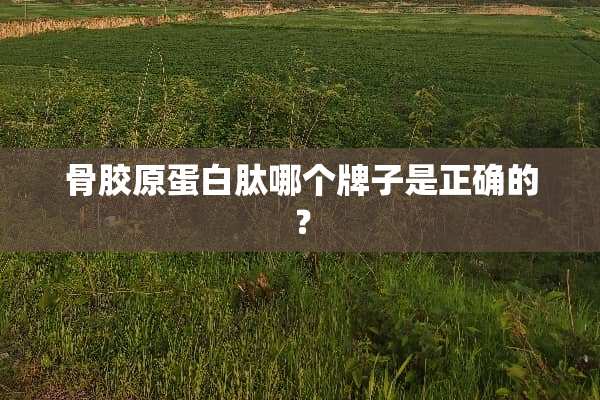 骨胶原蛋白肽哪个牌子是正确的？