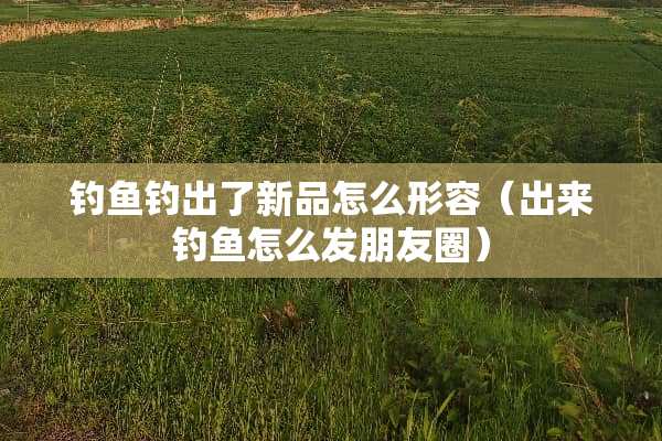 钓鱼钓出了新品怎么形容（出来钓鱼怎么发朋友圈）