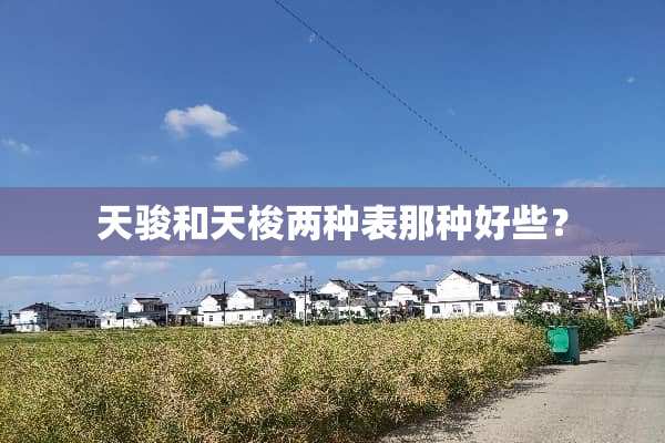天骏和天梭两种表那种好些？