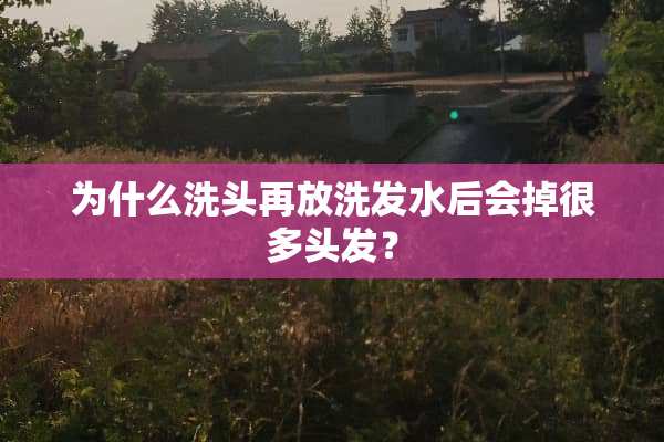 为什么洗头再放洗发水后会掉很多头发？