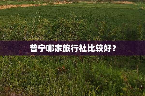 普宁哪家旅行社比较好？