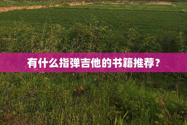 有什么指弹吉他的书籍推荐？
